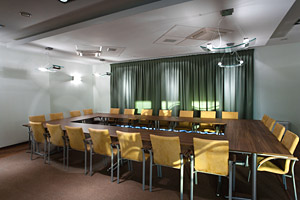 karnisze elektryczne blackout