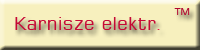 karnisze elektryczne, karnisz elektryczny, story, zasłony, szyny elektryczne, sterowane pilotem, karnisz elektryczny łukowy sterowany pilotem radiowym, silnik, siłownik, z napędem elektrycznym, łukowe, gięte na zamówienie